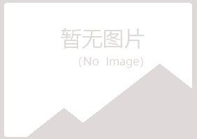 淄博淄川冰夏能源有限公司